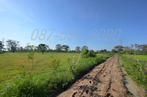 ขายด่วน! ที่ดินแแปลงสวย ราคาถูก อำเภอเมืองสุรินทร์ เหมาะทำจัดสรรที่ดิน หรือหมู่บ้านจัดสรร
